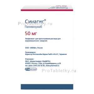 Фото синагиса