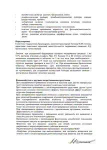 Теночек - официальная инструкция (таблетки) Теночек - официальная инструкция (таблетки)