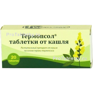 Фото термопсола