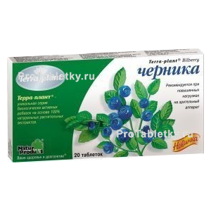 Фото терры-планта черники