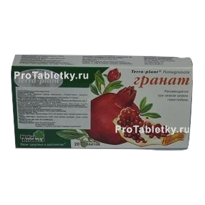 Фото терры-планта граната