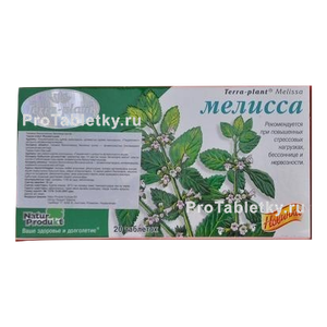 Фото терры-планта мелиссы