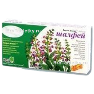 Фото терры-планта шалфея