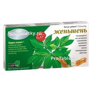Фото терры-планта женьшеня