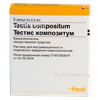 Тестис композитум