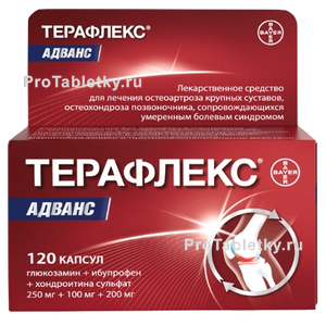 Фото терафлекса адванса