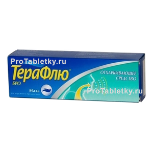 Фото терафлю бро