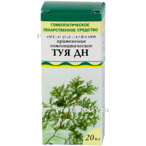 Фото туи дн