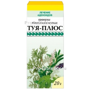 Фото туи-плюса