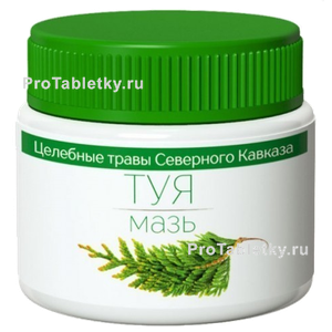 Фото туи