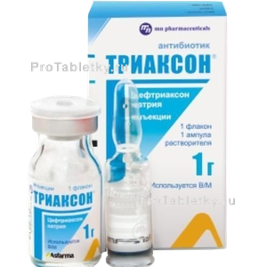 Фото триаксона