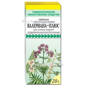 Фото валерианы-плюса