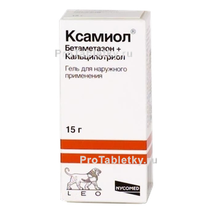 Фото ксамиола